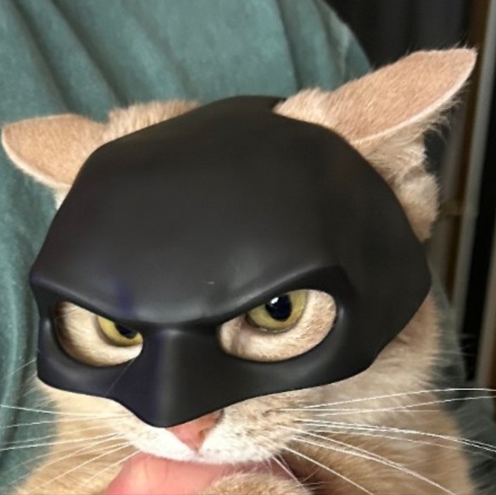 Cat Batman Mask
